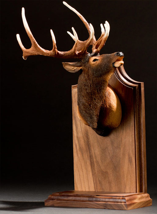 Stand-up Big Game Trophy