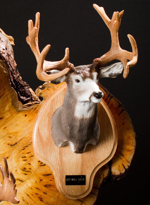 Non-Typical Mule Deer Bust
