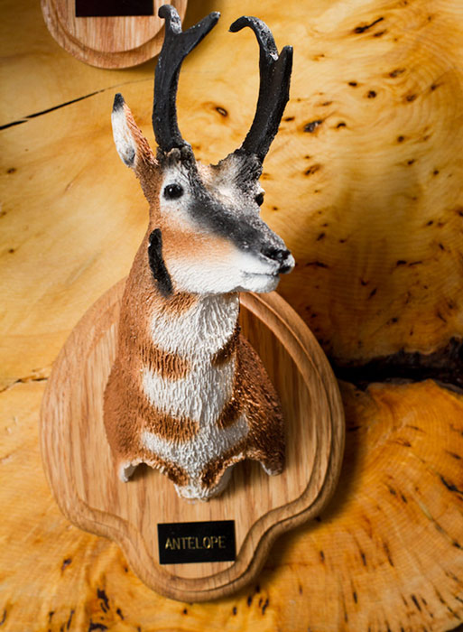 Antelope Bust